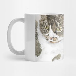 Two cats - tabby and tortie Mug